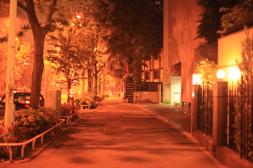 今日の15枚 - 5D Mark II -