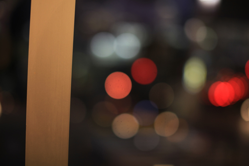 今日の15枚 - 5D Mark II -