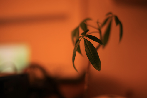 AMNの飲み会に行ってきました。