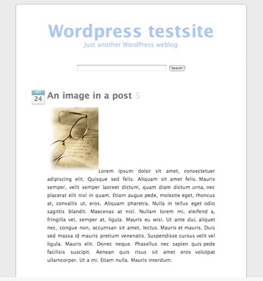 30+ 1-Column WordPress Themes