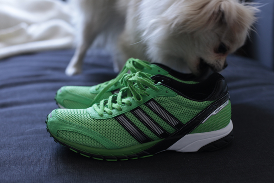 スポーツ用具、ランニングシューズが届きました