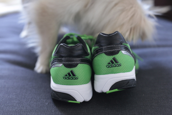 スポーツ用具、ランニングシューズが届きました