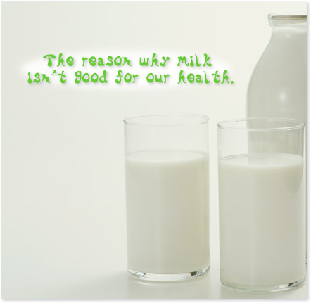 ミルクが体によくない4つの理由