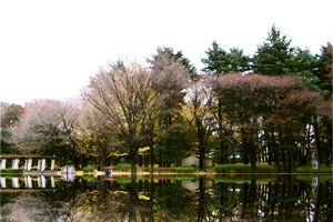 フェルメール展