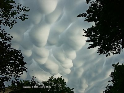 10 Very Rare Clouds